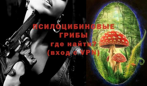 ешки Алзамай