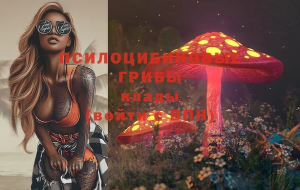 спиды Алексеевка