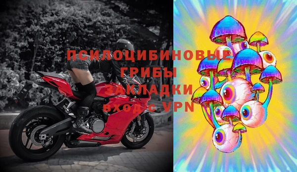 ешки Алзамай