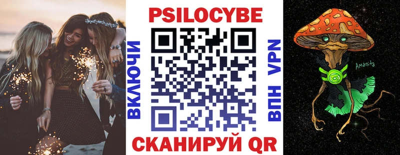 купить наркоту  Малаховка  Псилоцибиновые грибы прущие грибы 